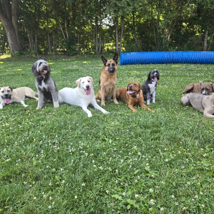 IMG-20250712-WA0004 IMG-20250712-WA0004