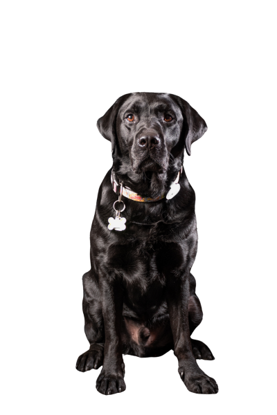 98a95c5f-1fc5-48ce-9b07-f7d0b4718b30