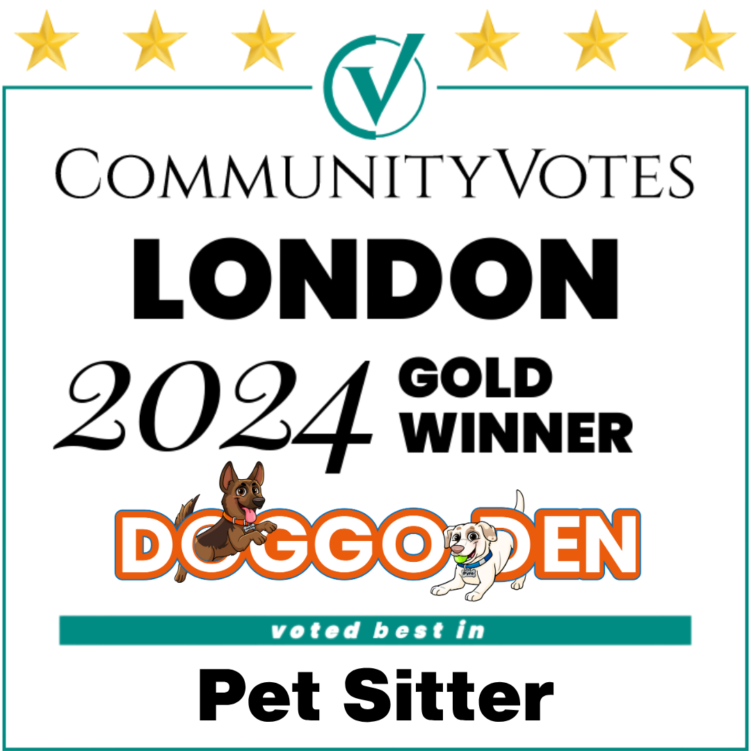 2024 gold petsitter