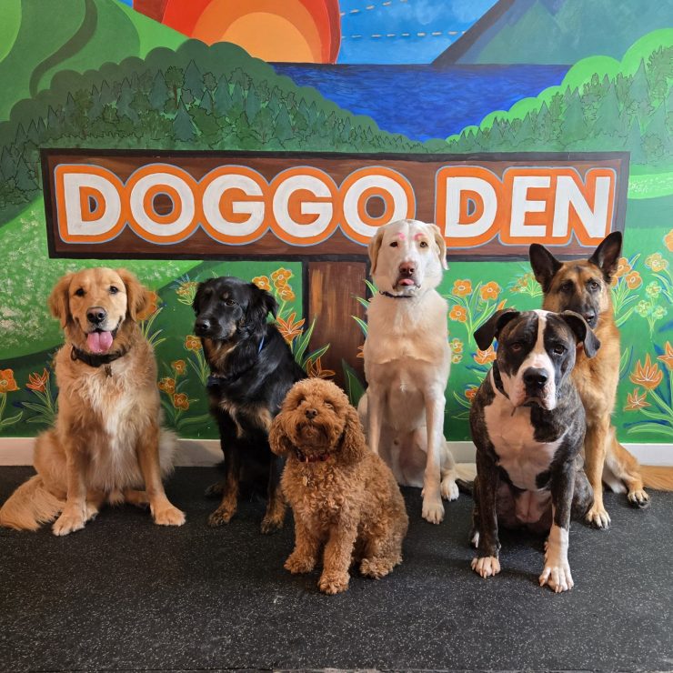 1000046984_a1855648e8b41b7d62f4156de3c913e1-2_23_2025, 7_43_11 PM 1000046984_a1855648e8b41b7d62f4156de3c913e1-2_23_2025, 7_43_11 PM